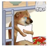 ：@，d