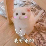 百里云雨