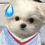 南有长柩