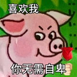天使小猪李达军