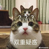 北大才女芈十四