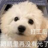 绝望