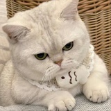 可以听你慢慢讲