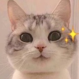 咩咩阿.