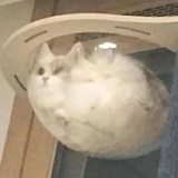 只想当咸鱼