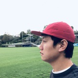 考拉熊