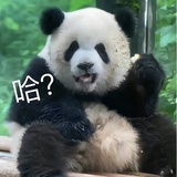 咬一口糯米团子