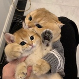 好不迷人