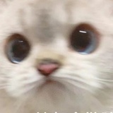 没关系
