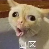 😉
