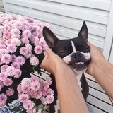 MistyJade🐾