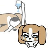 禁止焦绿