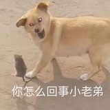 随便是谁