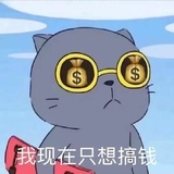 炭烤鱼片💰