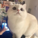 耶耶早睡早起