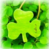 Clover…