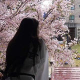 一一