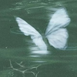 小满