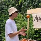 原何故