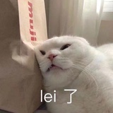 放了汤的水