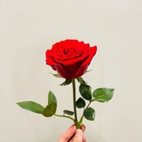 不吃酸奶块
