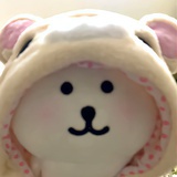 一锅银河猪