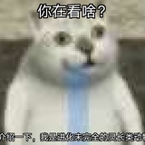 猪突猛进🐷