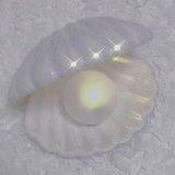 运气一级棒