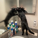 半松