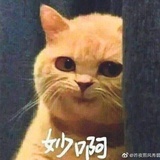 道道