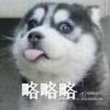 八宝粥200911
