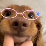 有钱有钱变有钱