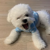 别把我笑死