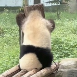 豆沙了