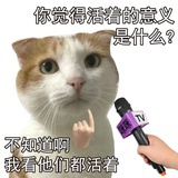 jiangjjj