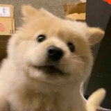 瑶瑶