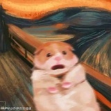 Vincent