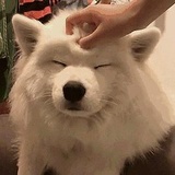 熬夜真的会秃头