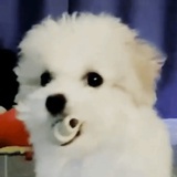 快乐嗑药技
