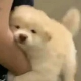 程深