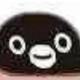 多肉葡萄