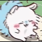 너구리