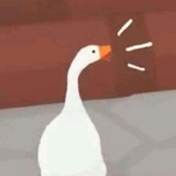 大白🦢
