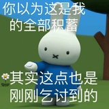 秃噜皮