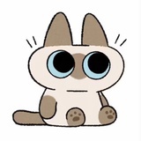 宁熙与风