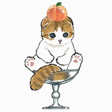 飘香水的回忆
