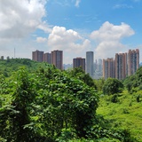 天呀，吓我一跳