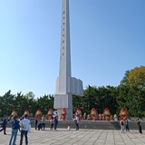椰丝
