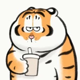 有趣的db