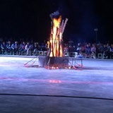 梦里花落知多少